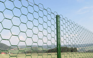 honeycomb fence1