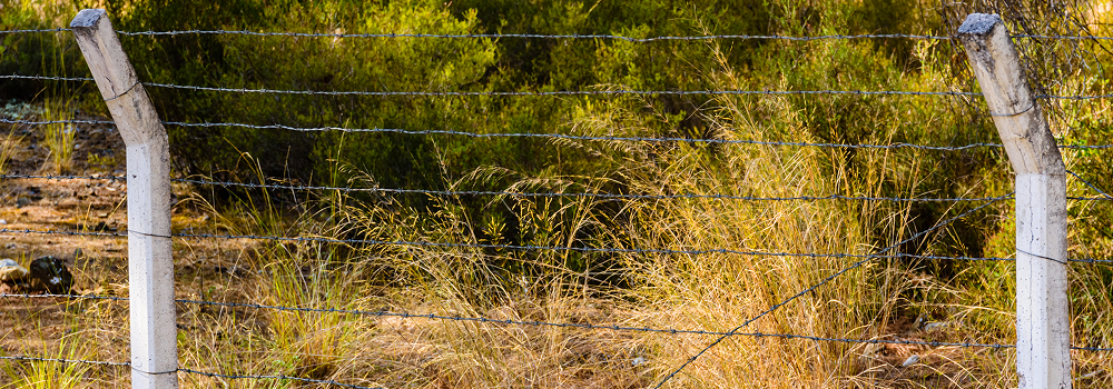 Types of fencing for agricultural land