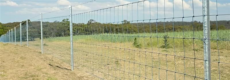 Types of fencing for agricultural land