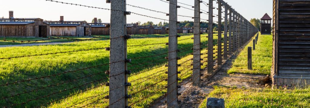 Electric Fencing System for agriculture